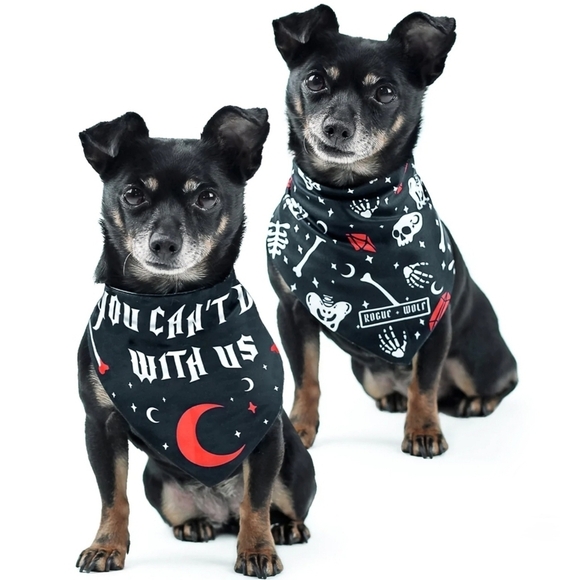 Rogue + Wolf ✦ “You Can’t Dig With Us” Reversible Pet Bandana ✦ Bones + Crystals - Picture 1 of 16